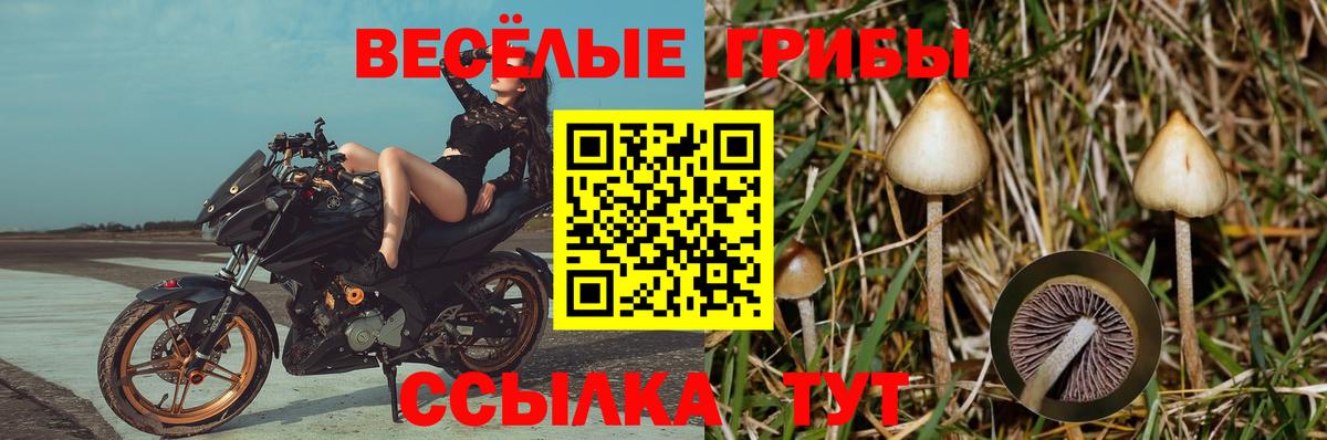 Галлюциногенные грибы мицелий  Вход с VPN  Галлюциногенные грибы ЛСД  Усть-Илимск 
